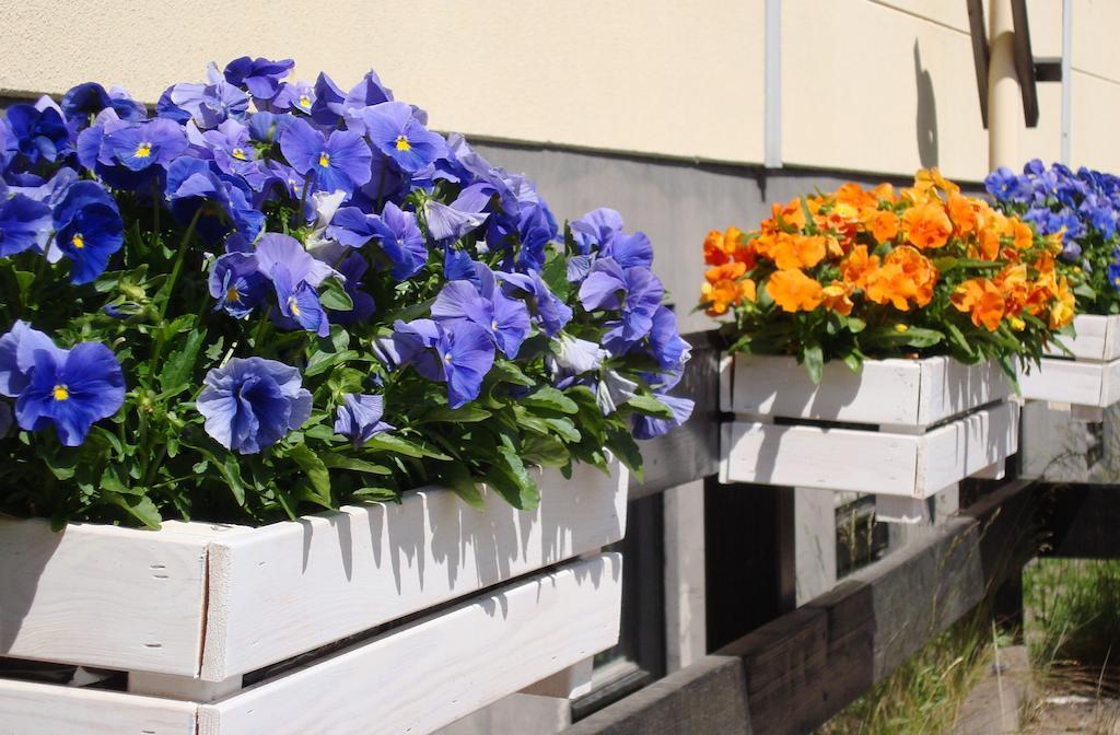 Vimmerby Bed & Breakfast 外观 照片